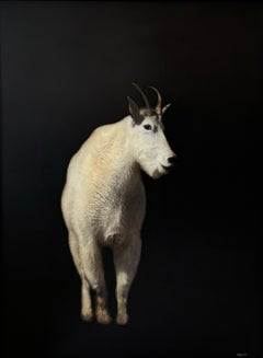 The Alpine Dreamer di Dawne Raulet Capra contemporanea a tecnica mista, Whiting, Black