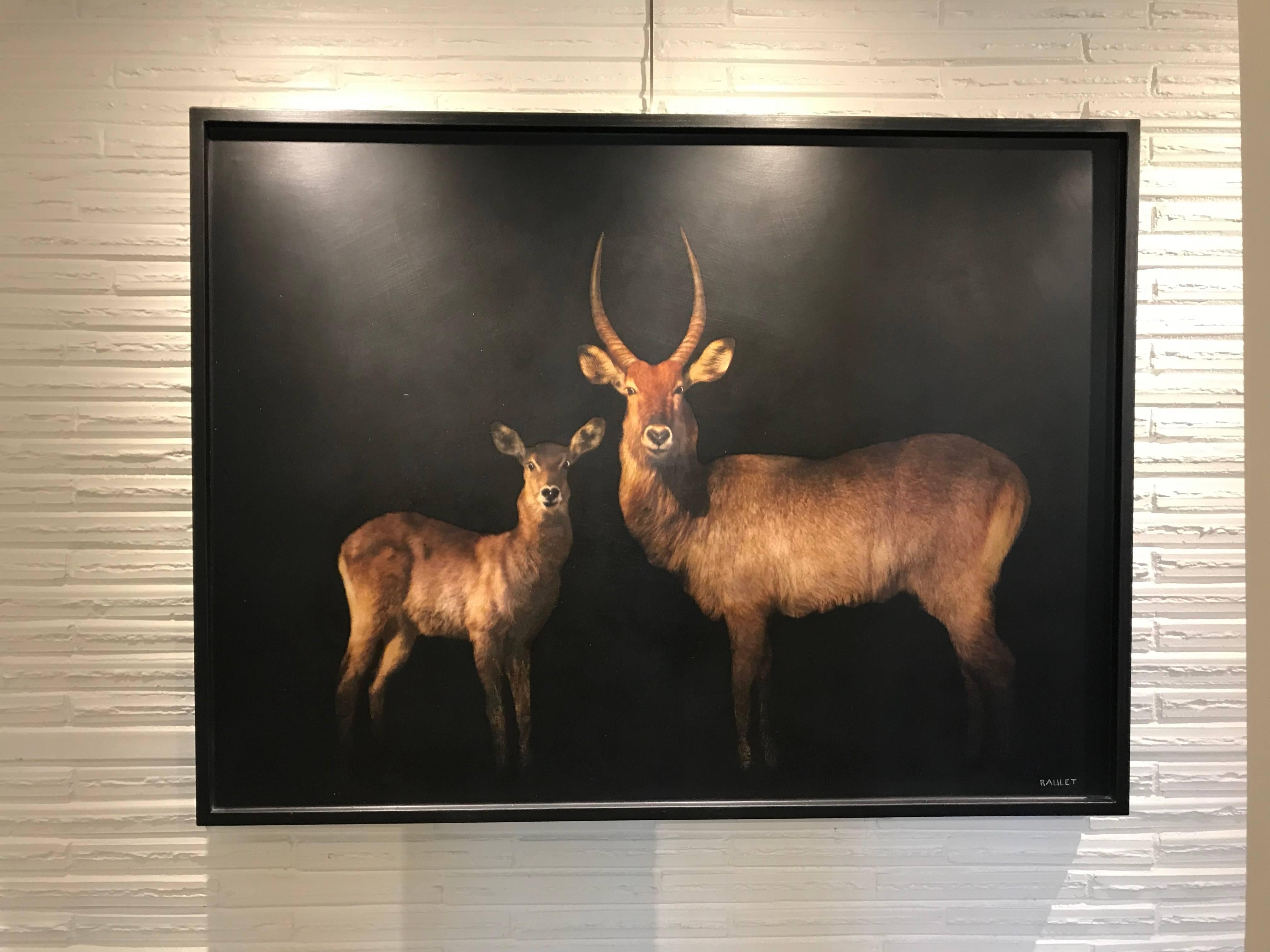 'Two's Company' Large Horizontal Waterbuck Contemporary Animal Painting 1