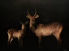 'Two's Company' Large Horizontal Waterbuck Contemporary Animal Painting