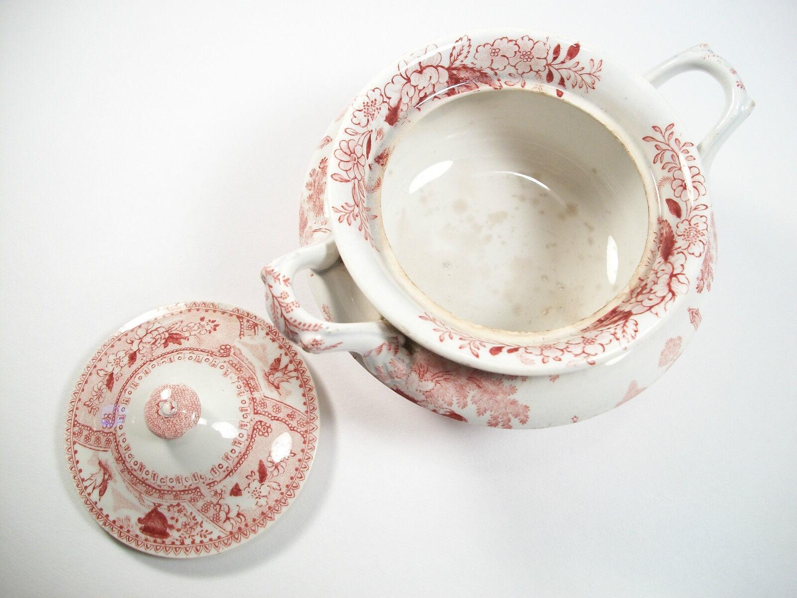 DAWSON'S - PHILAMMON - Red Transferware Sugar Bowl with Lid - UK - 19th Century For Sale 3