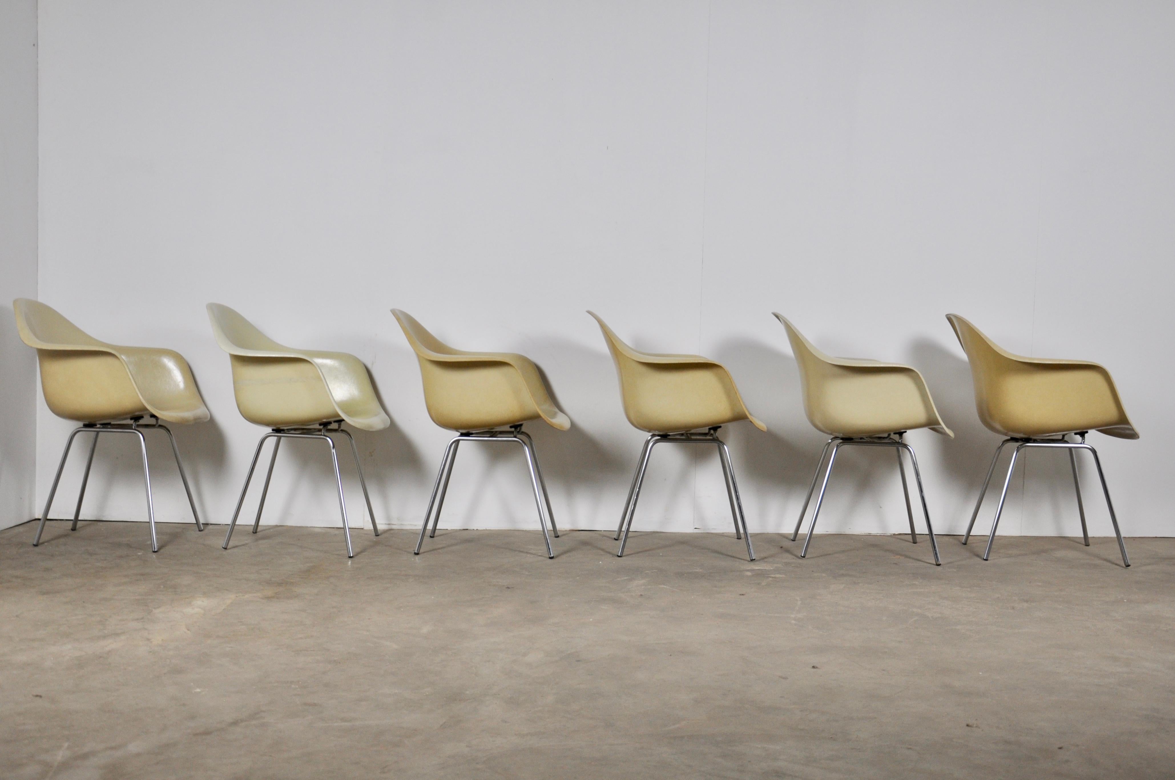 Central American DAX Dining Chairs by Charles and Ray Eames for Herman Miller 1960s Set of 6