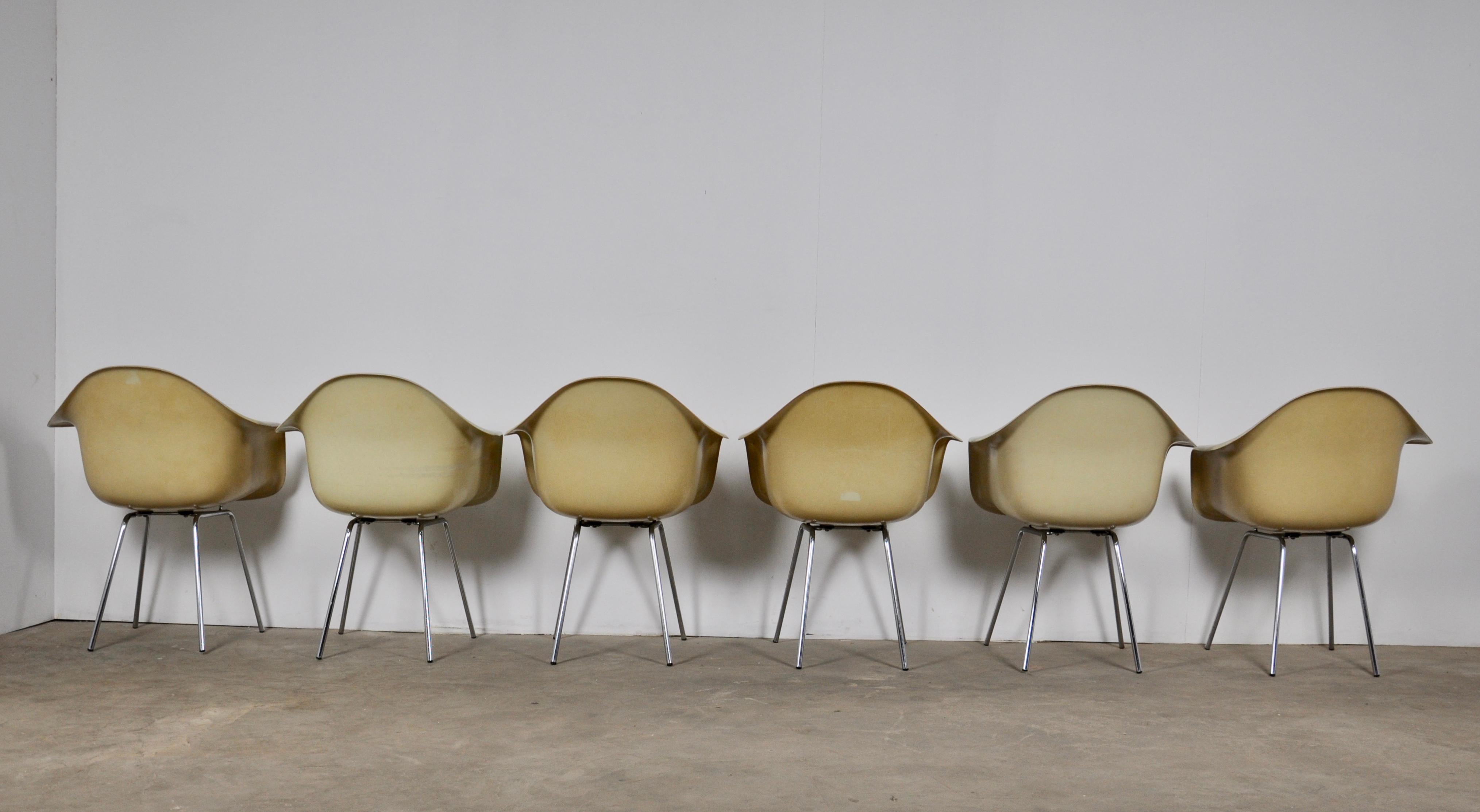 DAX Dining Chairs by Charles and Ray Eames for Herman Miller 1960s Set of 6 In Good Condition In Lasne, BE