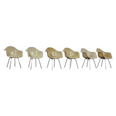 DAX Dining Chairs by Charles and Ray Eames for Herman Miller 1960s Set of 6