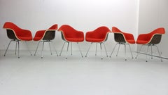 Satz von 6 Esszimmerstühlen „DAX“ von Charles & Ray Eames für Herman Miller, 1950er Jahre