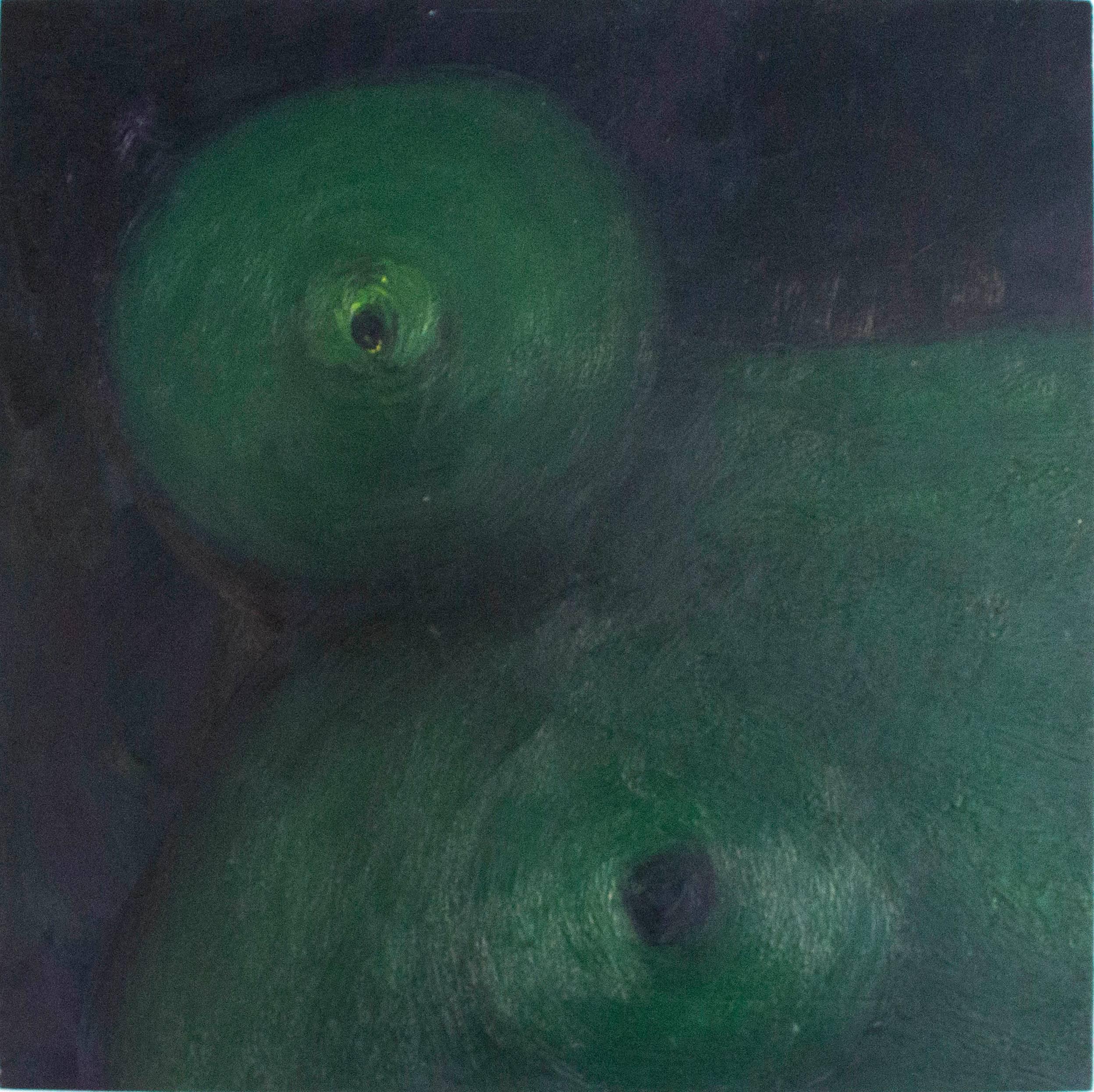 Dax Van Aalten Abstract Painting - Mammary Green