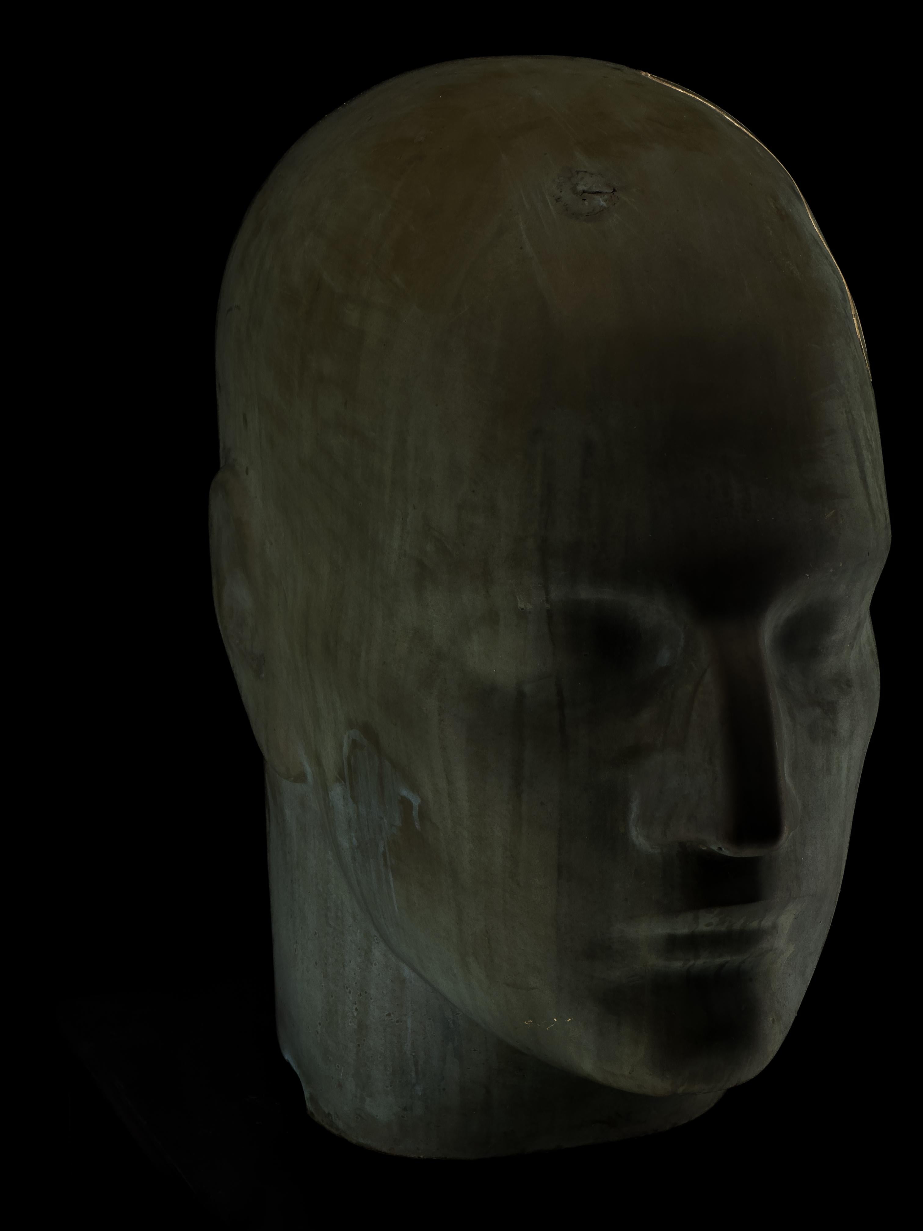 Dazed Sapiens by Twenty Second Factory For Sale 5