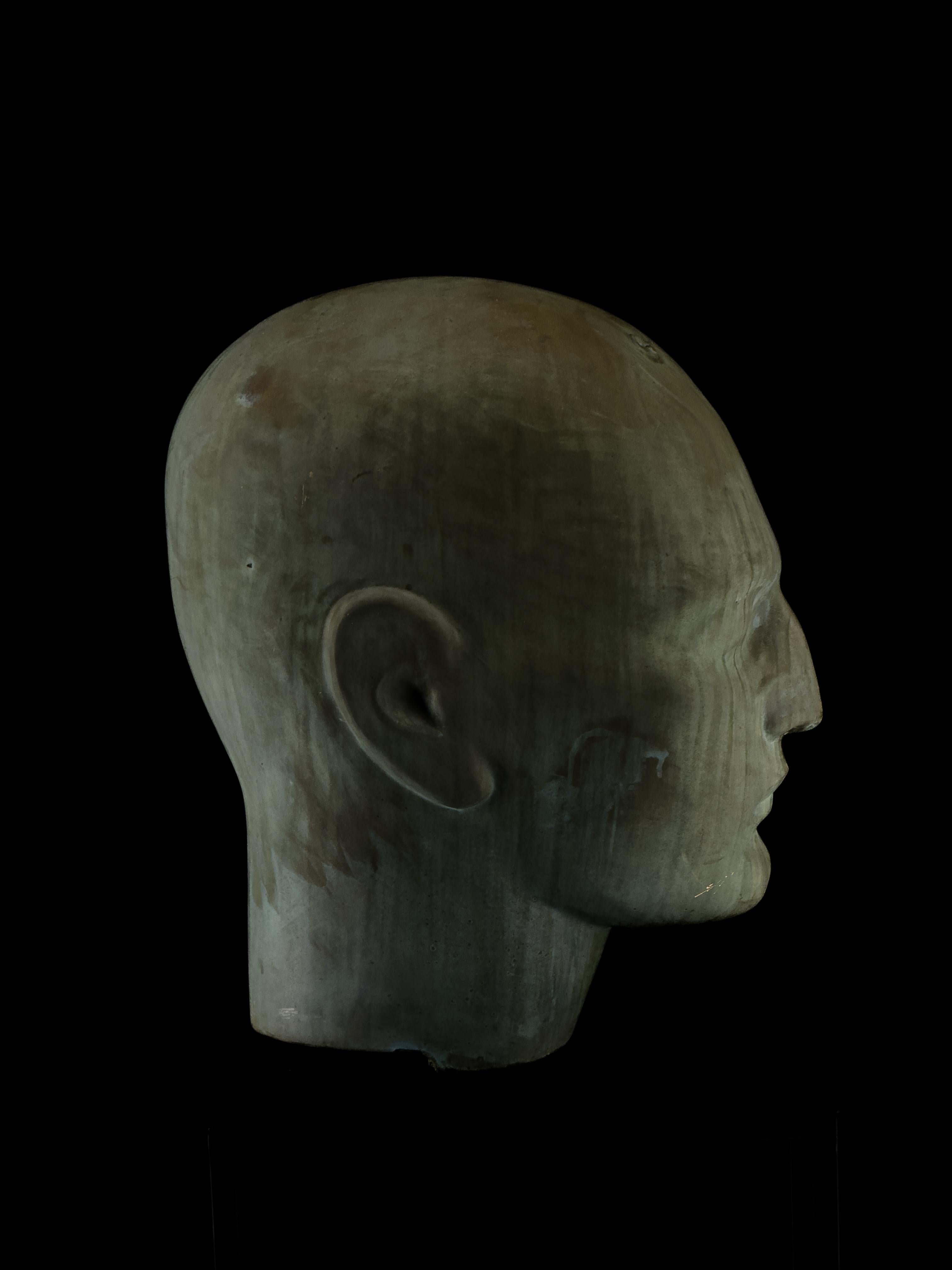 Dazed Sapiens by Twenty Second Factory For Sale 8
