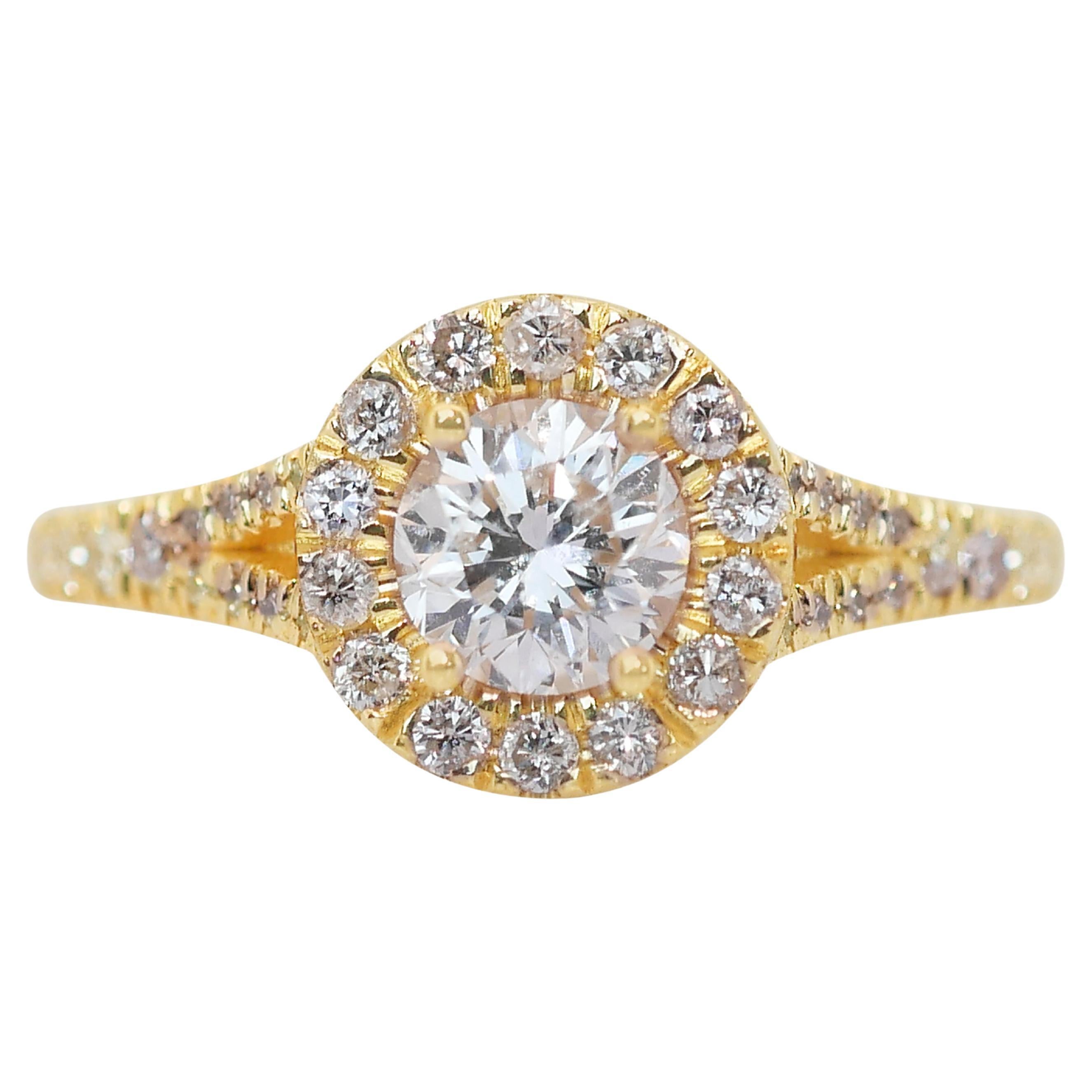Schillernder 1,35 Karat Diamanten Halo-Ring aus 18 Karat Gelbgold - IGI-zertifiziert