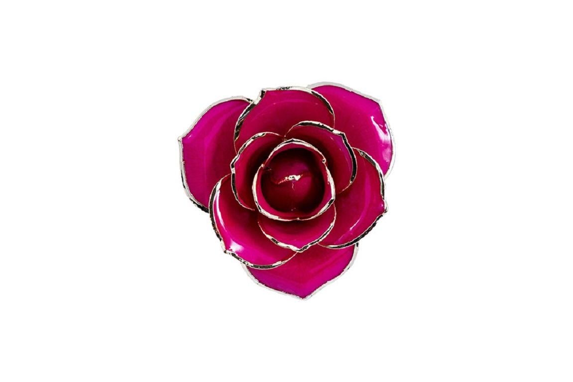 Meaning Behind The Rose. Passionately pink, our Dazzling Birthday Surprise will bring tears of joy to their eyes. This pure specimen of nature’s perfection is the most beautiful way to express your love. Light green leaves cup bright, pink petals