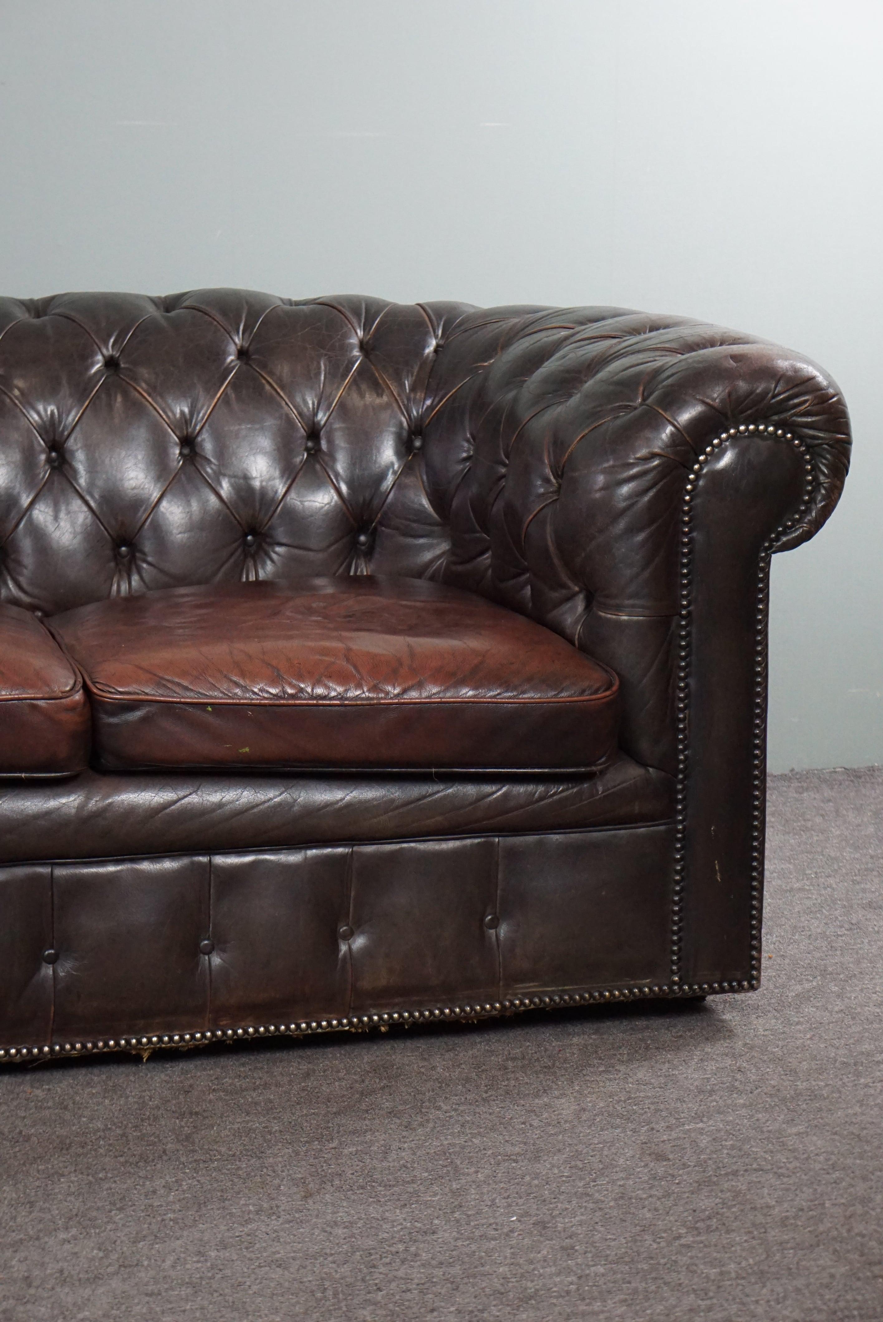 Schillerndes altes Chesterfield-Sofa voller Anziehungskraft, 3 Sitzmöbel (Handgefertigt) im Angebot
