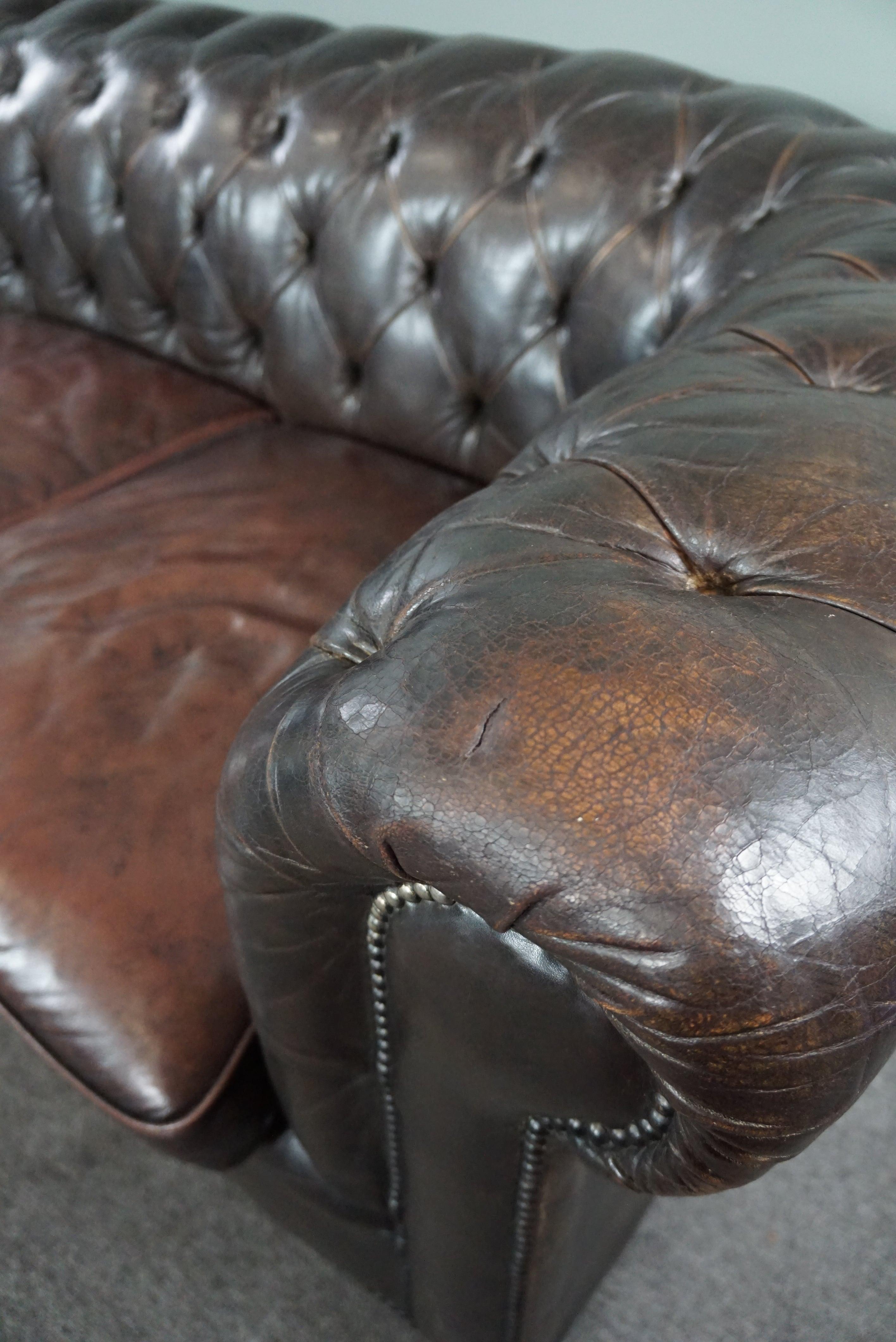 Schillerndes altes Chesterfield-Sofa voller Anziehungskraft, 3 Sitzmöbel im Angebot 2