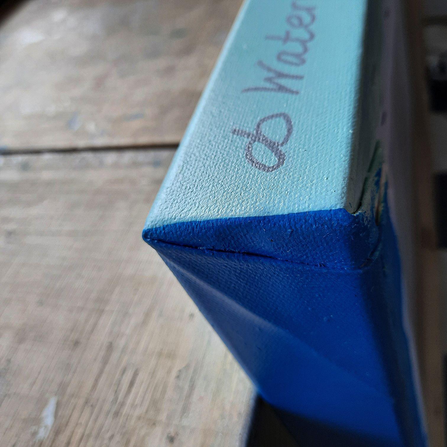 waterman flash