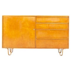 Meuble de rangement DB01 de Cees Braakman édition Pastoe 1950