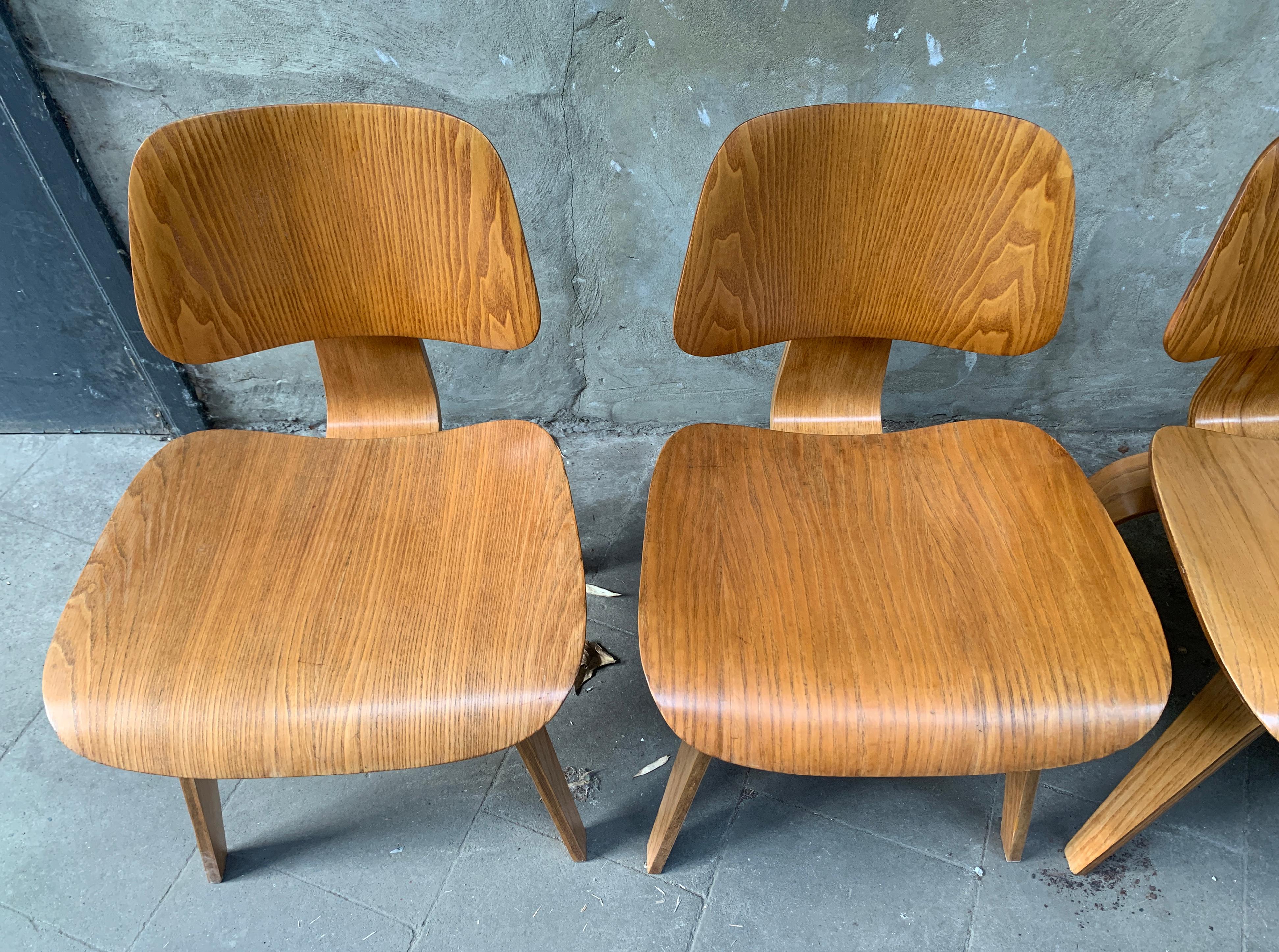 Dcw Dining Chairs Ash by Charles & Ray Eames for Evans / Herman Miller, 1940s For Sale 4