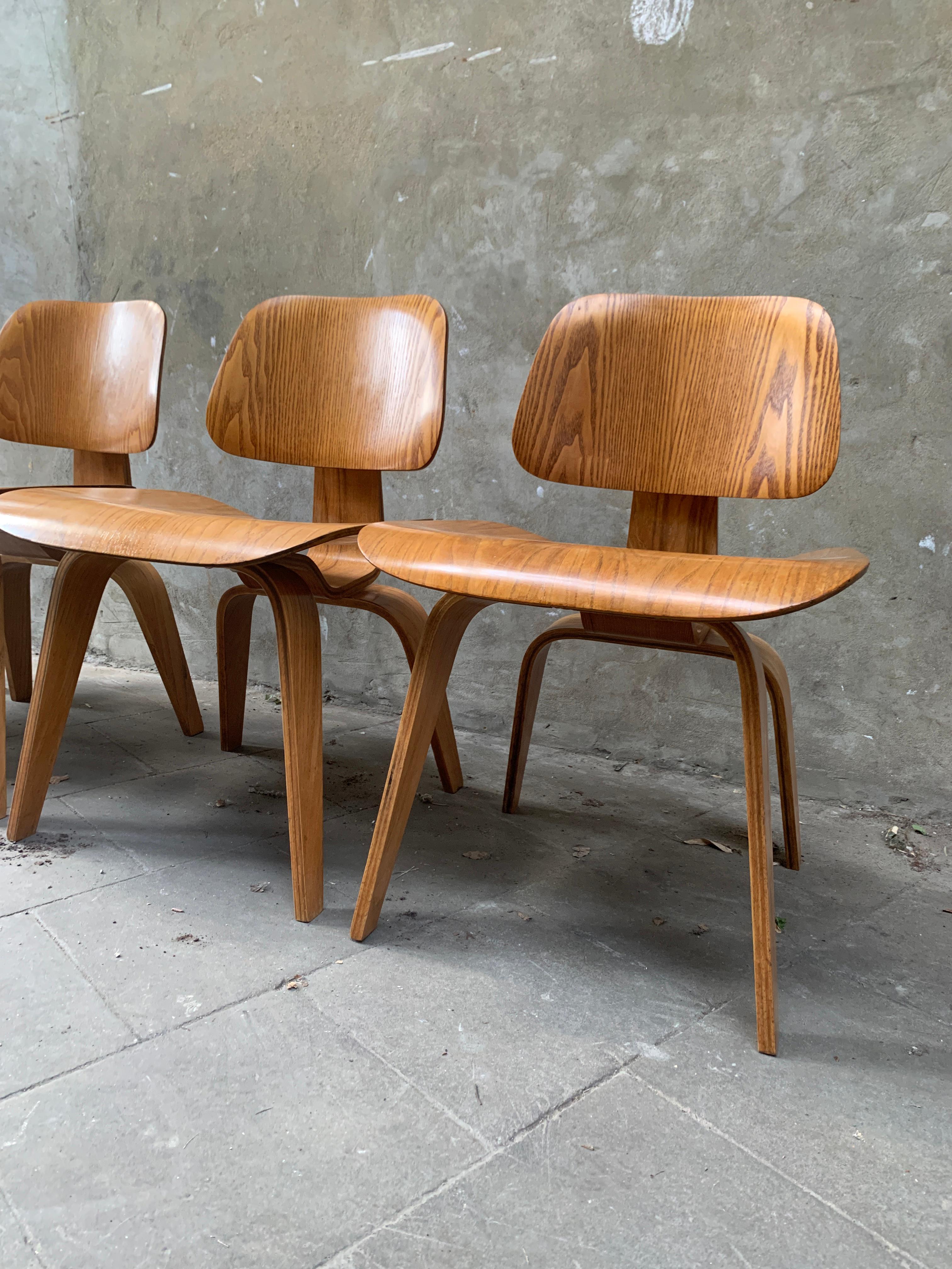 Dcw Dining Chairs Ash by Charles & Ray Eames for Evans / Herman Miller, 1940s For Sale 2