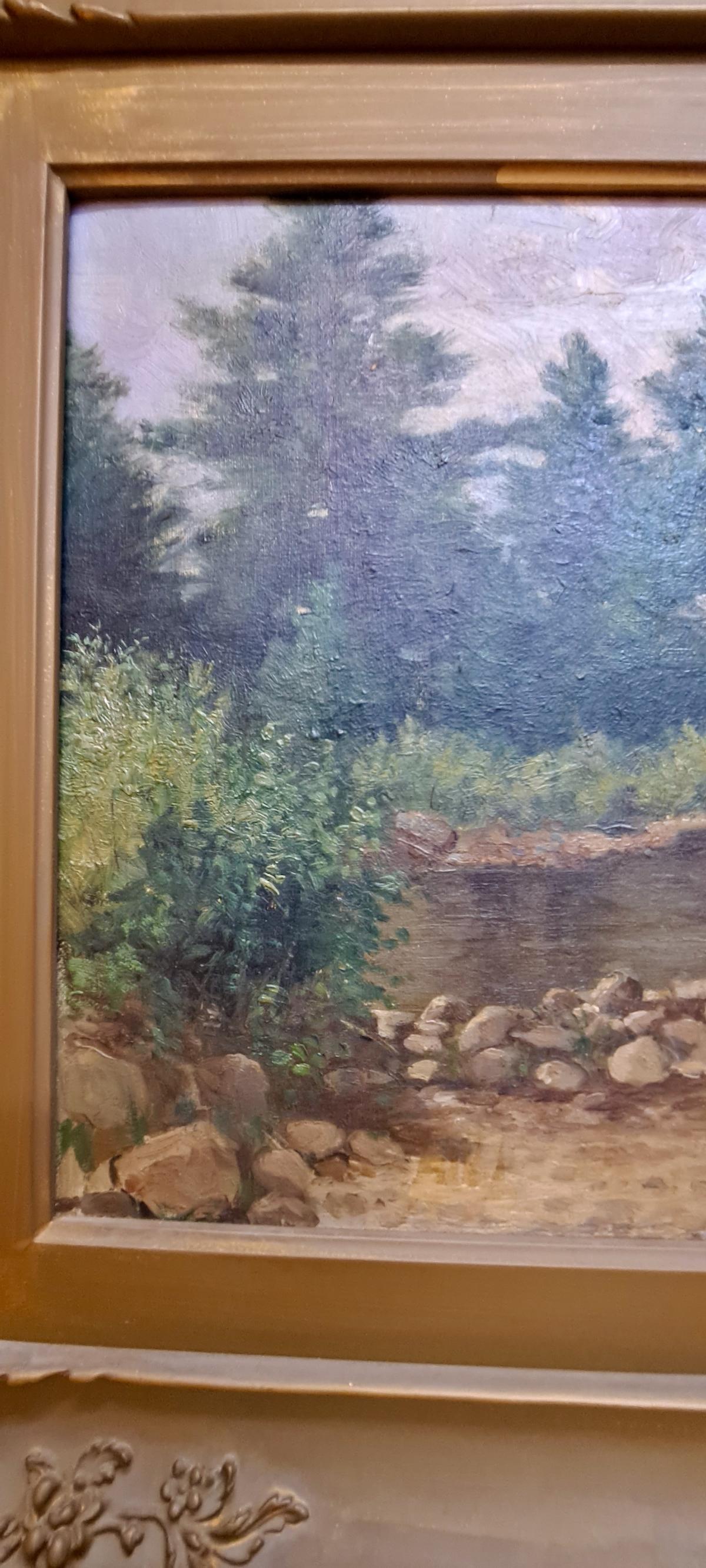 On Stearns Landing, Kezar Pond, Lowell, Maine - Brown Landscape Painting by D.D. COOMBS