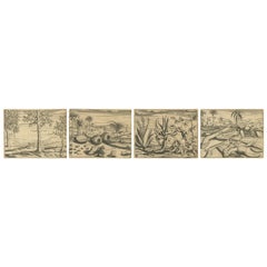 Antique De Bry Botanical Engravings – Cinnamon, Aloe & Aromatic Plants, c.1598