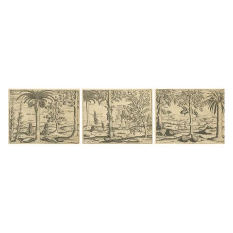 De Bry Botanical Engravings – Pineapple, Mango & Pepper Plants, c.1598