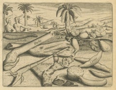 De Bry Engraving Expressio Germinum – Exotic Plants of St. Lawrence Island, 1598