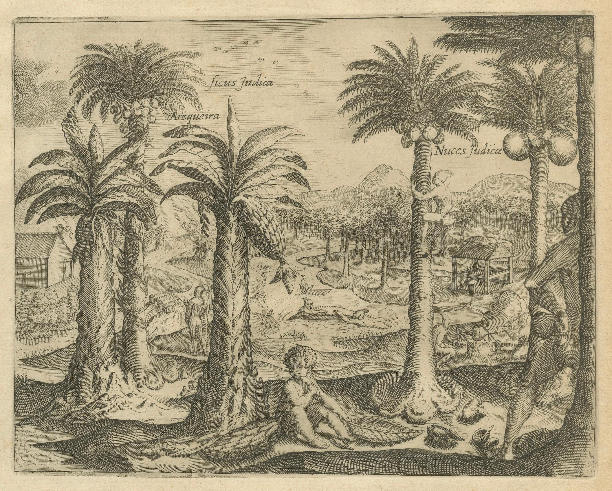 Incisioni botaniche indiane di De Bry - Alberi di cocco, bambù e anacardi, 1598 ca. In condizioni buone in vendita a Langweer, NL