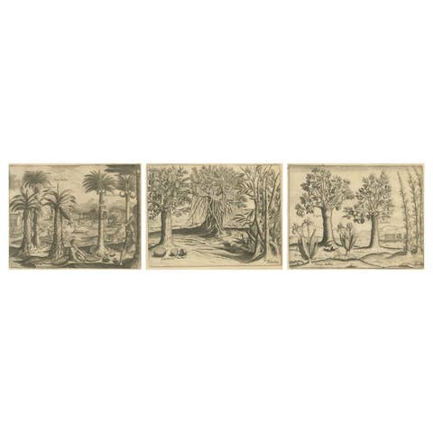 De Bry Indian Botanical Engravings – Coconut, Bamboo & Cashew Trees, c.1598