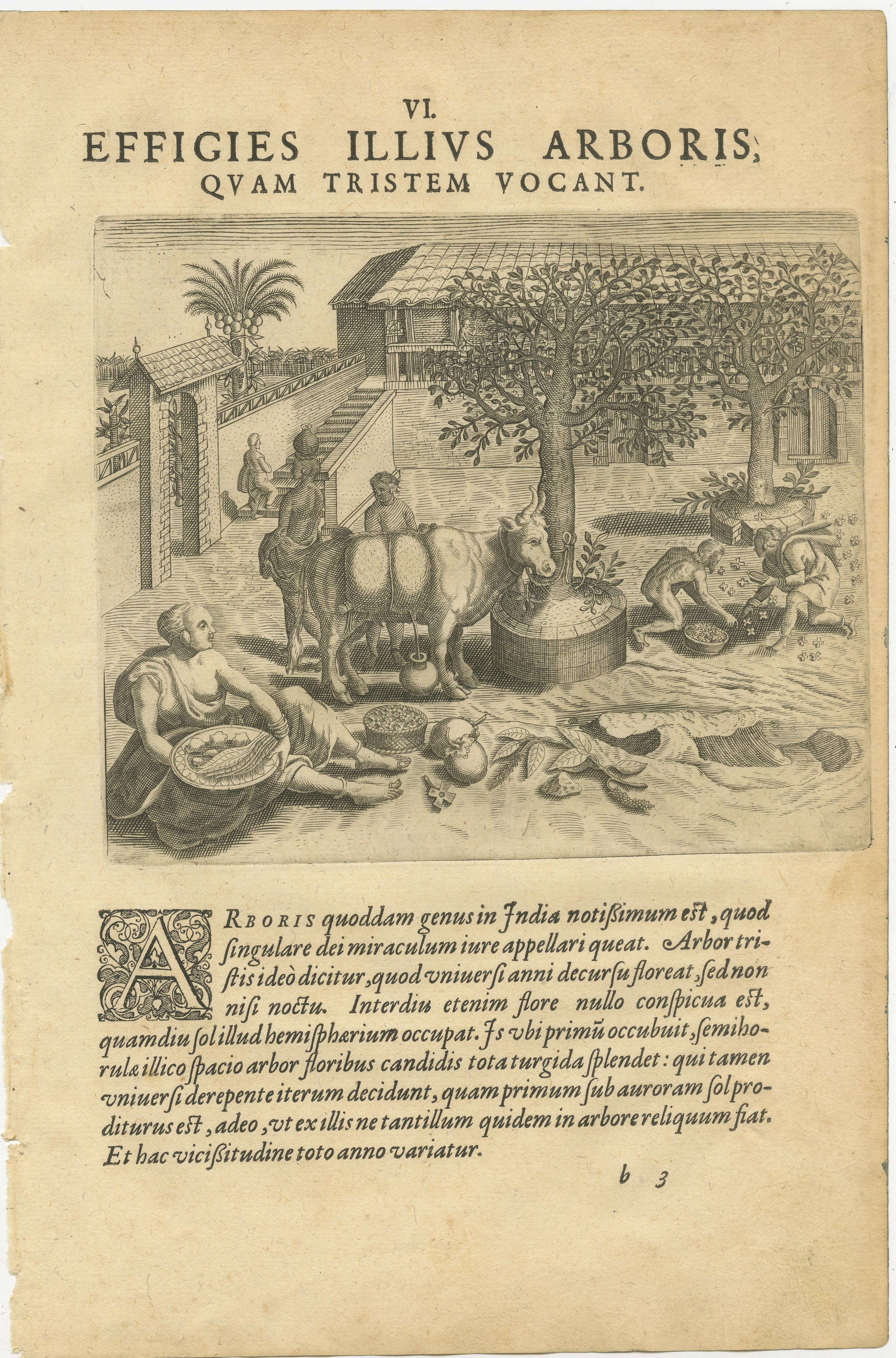 La India y las Indias Orientales de De Bry - Peleas de gallos, árboles sagrados y animales exóticos, 1598 Holandés en venta