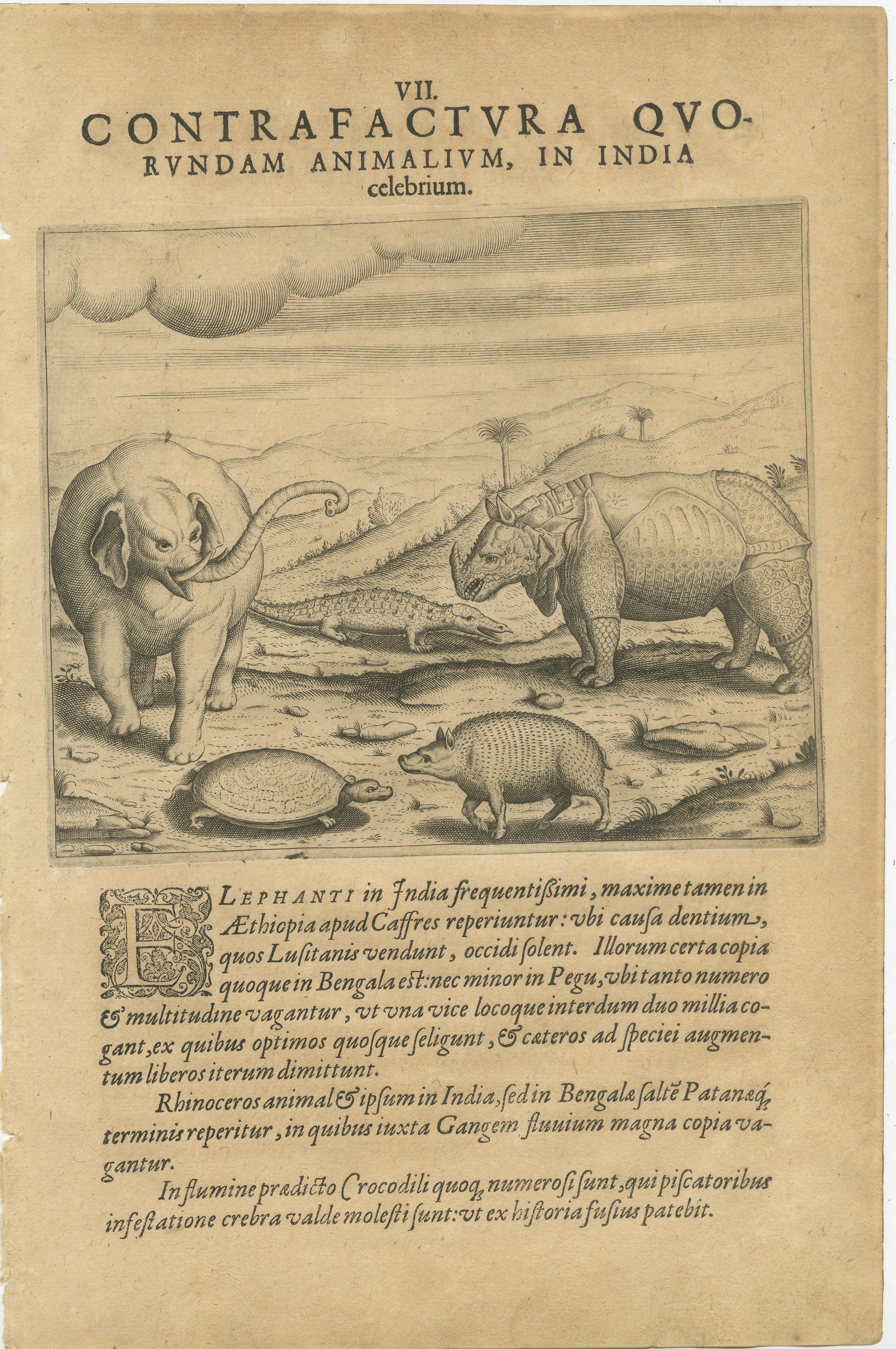 La India y las Indias Orientales de De Bry - Peleas de gallos, árboles sagrados y animales exóticos, 1598 Grabado en venta