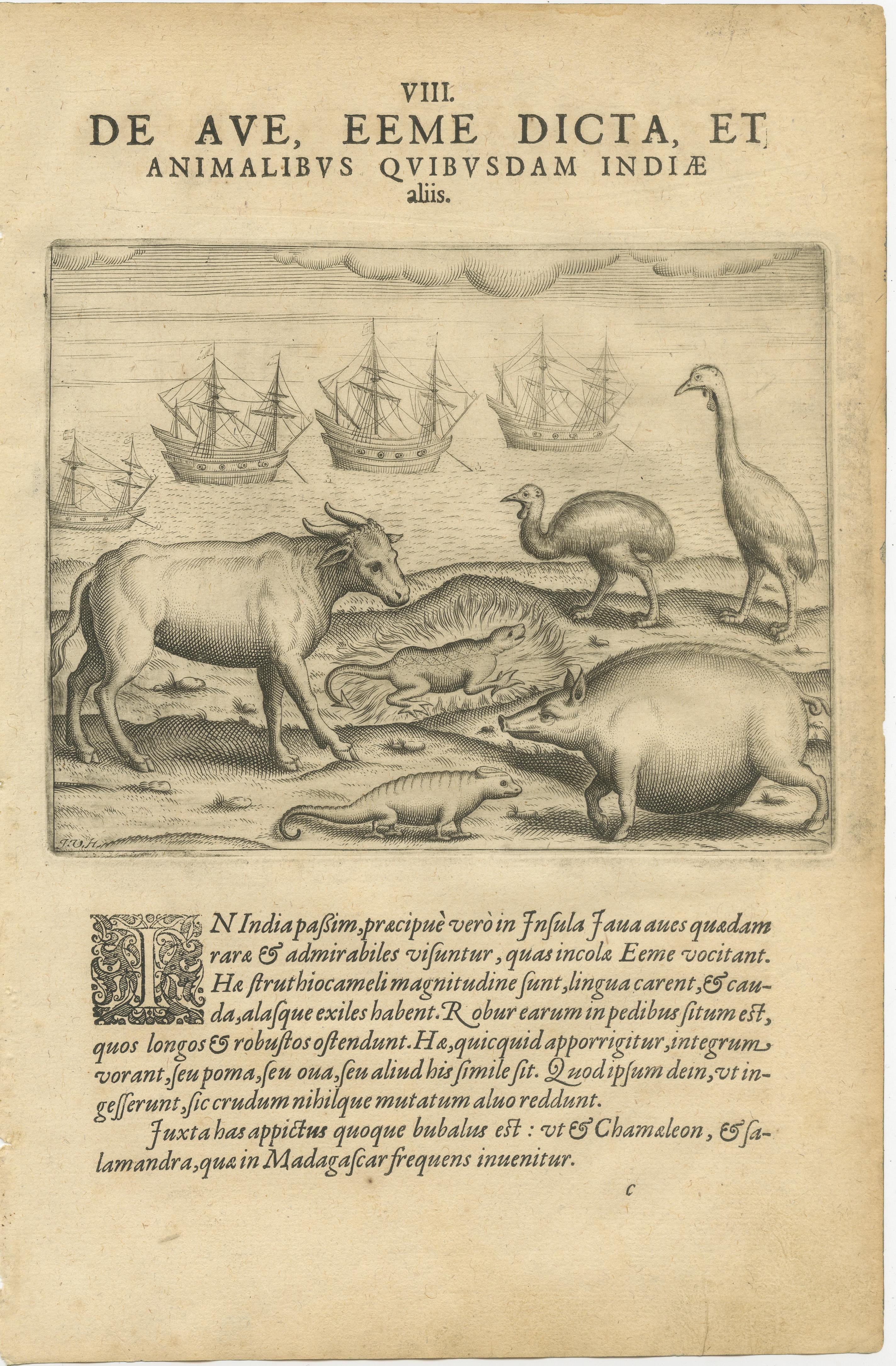 La India y las Indias Orientales de De Bry - Peleas de gallos, árboles sagrados y animales exóticos, 1598 en Bueno estado para la venta en Langweer, NL