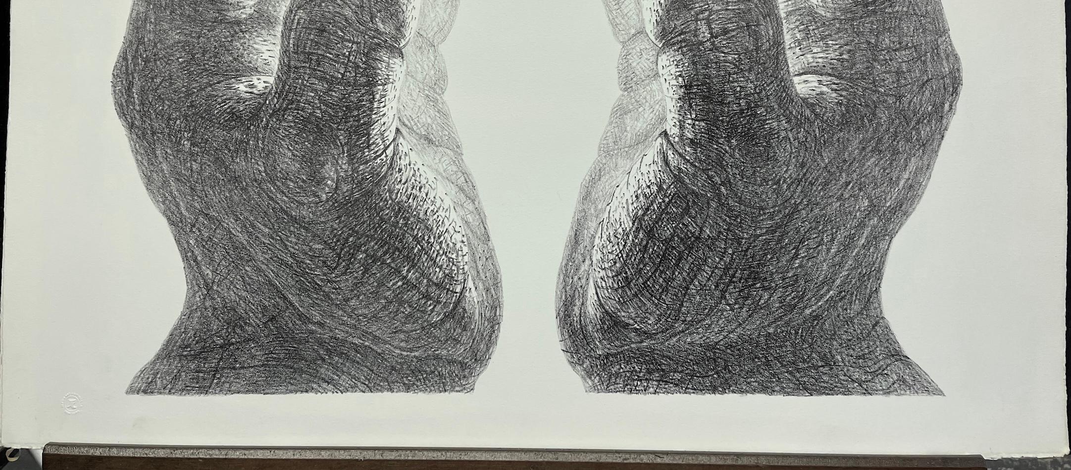 CREATION è una litografia originale disegnata a mano (non una riproduzione fotografica o una stampa digitale) stampata con tecniche di litografia manuale su carta da stampa Arches d'archivio, 100% priva di acidi. CREATION è un ritratto a mano