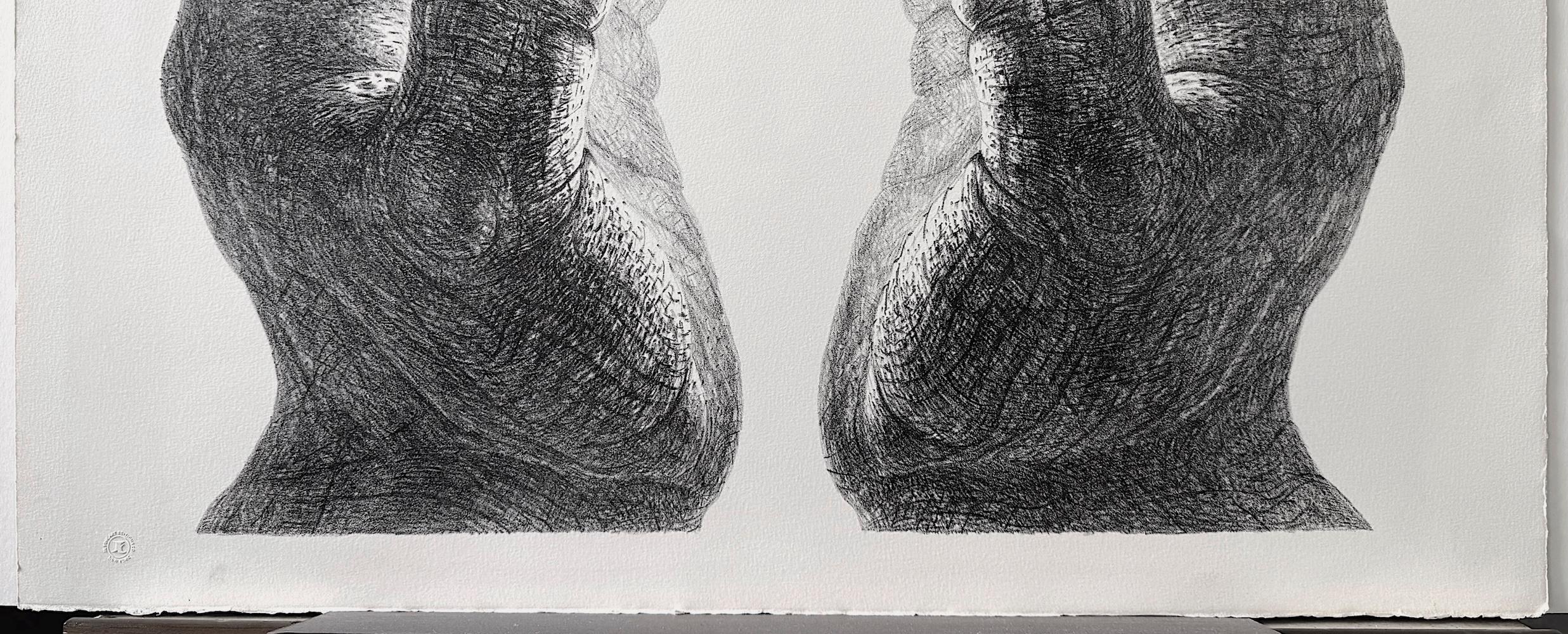 CREATION Hand Drawn Lithograph, Cupped Pair of Hands, Light Glow, Meditation For Sale 1