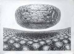 HOVERING STONE Signed Lithograph, Black and White Sci-Fi Landscape, Stone Men