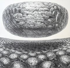 HOVERING STONE Signed Lithograph, Black and White Sci-Fi Landscape, Stone Men