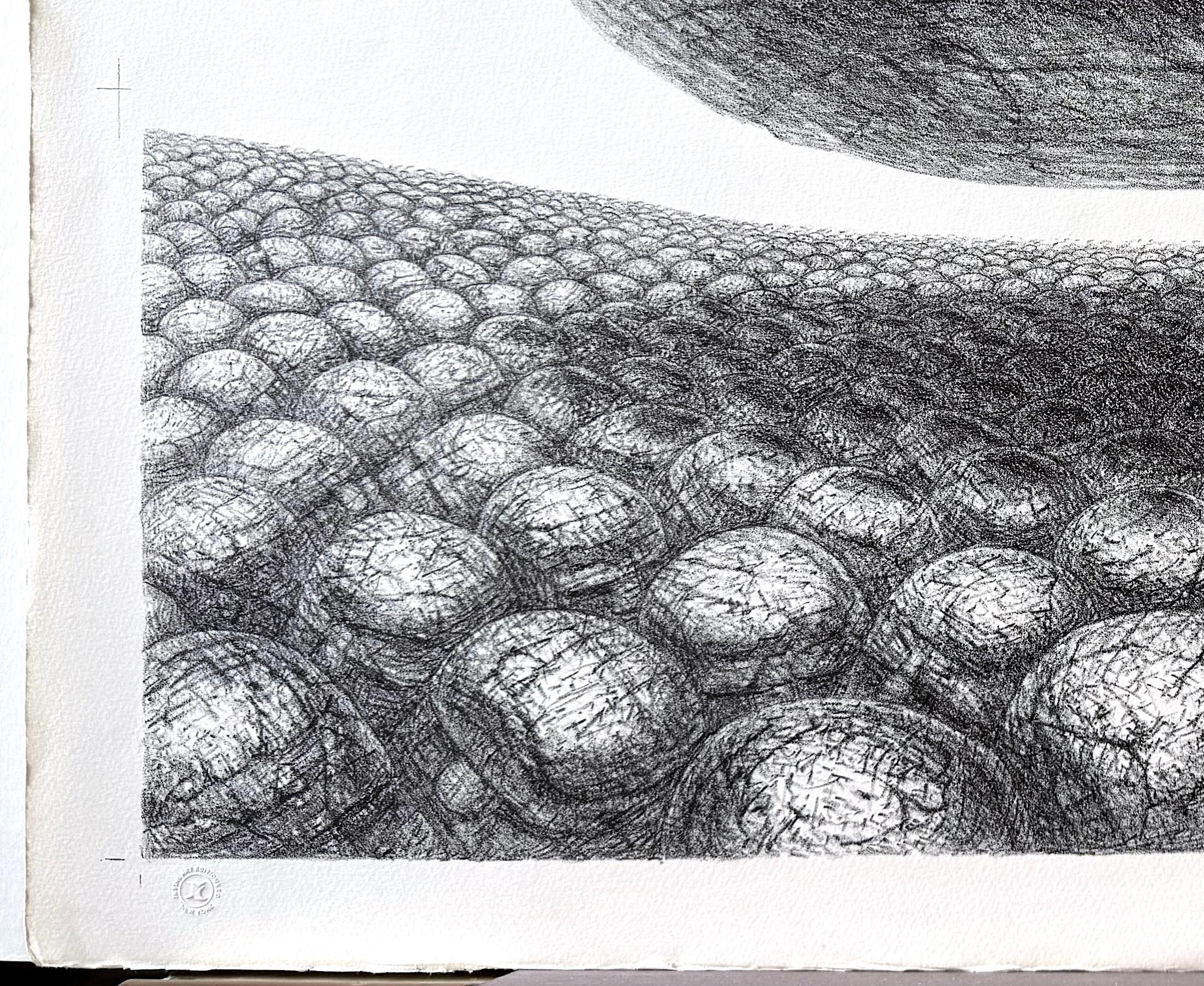 HOVERING STONE Signierte Lithographie, Schwarz-Weiß-Sci-Fi-Landschaft, Stone Men im Angebot 1