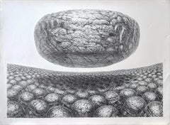 HOVERING STONE Signed Lithograph, Black +White Sci-Fi Landscape, Stone Men