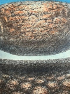 HOVERING STONE Signed Lithograph 1979, Sci-Fi Landscape, Stone Men, Meditation