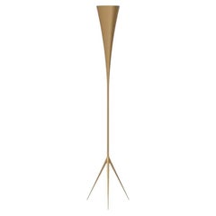 De-Lux B8 by Gio Ponti for Tato