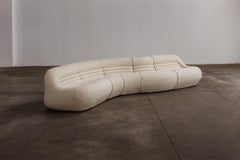 De Pas, D’Urbino, Lomazzi “Carrera” Sofa for BBB Bonacina, 1969, Set of 5