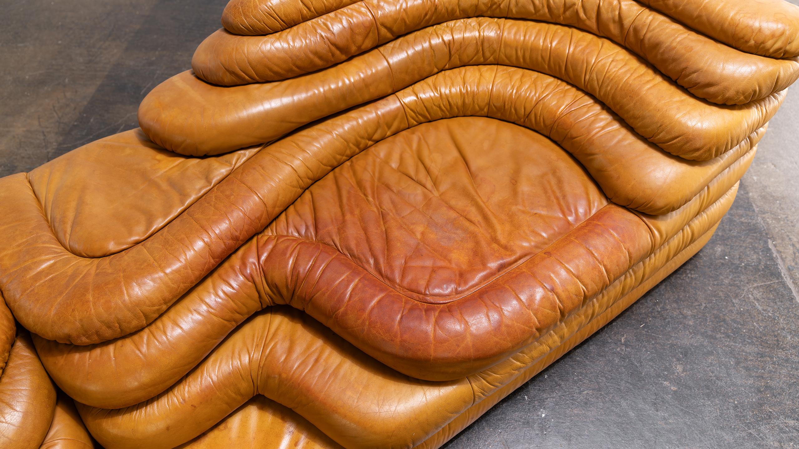 De Sede Terrazza Sofa Cognac Leather Ubald Klug Ueli Berger 1972 Mid Century For Sale 3