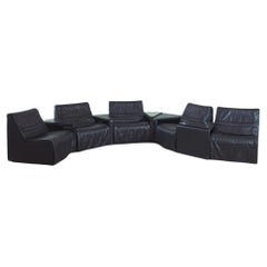 Retro De Sede black modular 10 seating elements and table living room set 