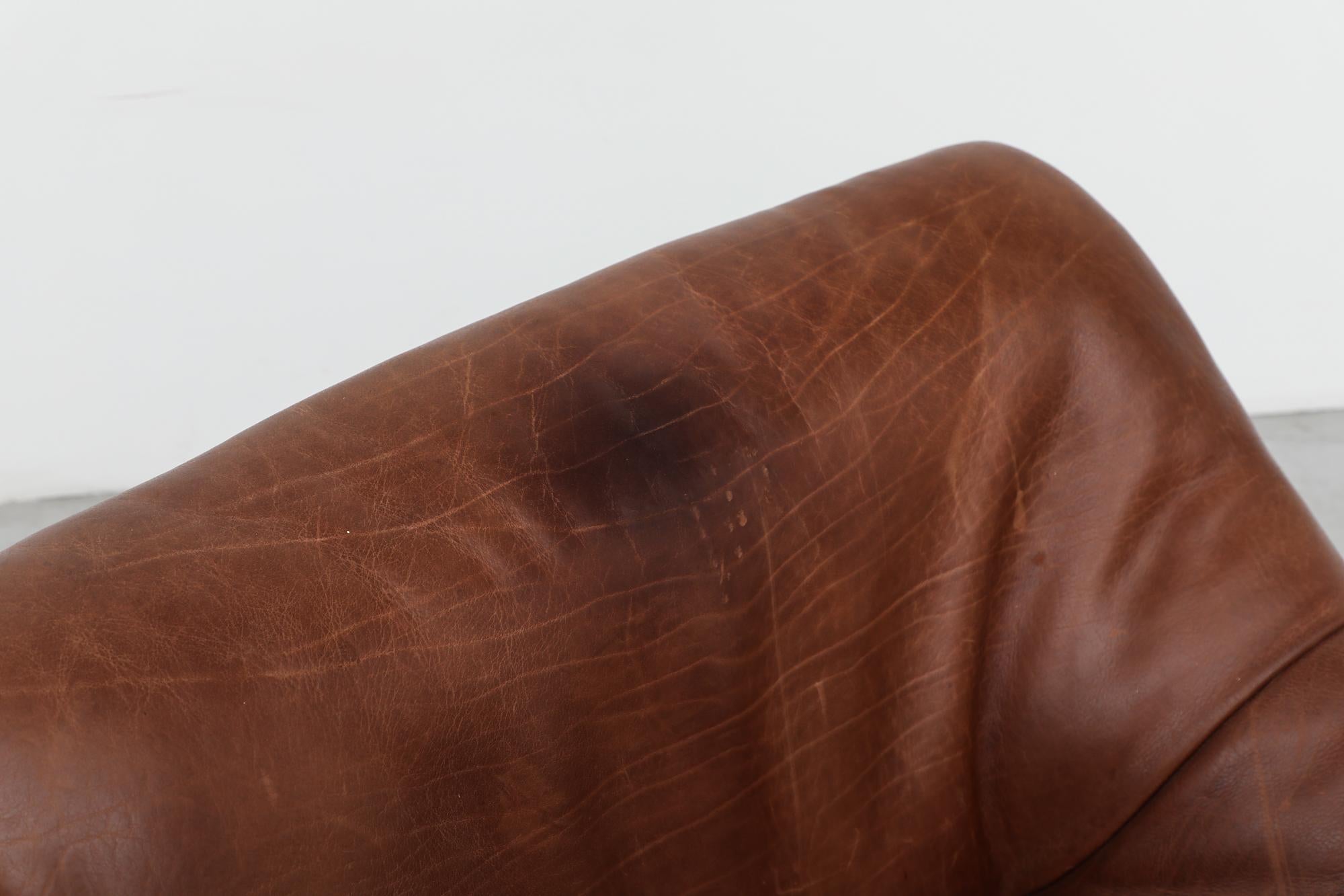 De Sede Buffalo Leather DS46 Loveseat 4