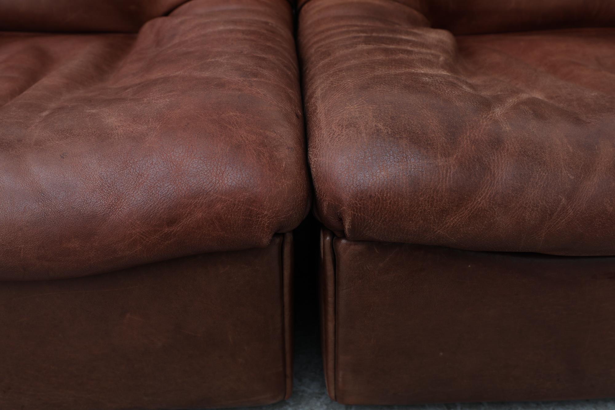 De Sede Buffalo Leather DS46 Loveseat 6