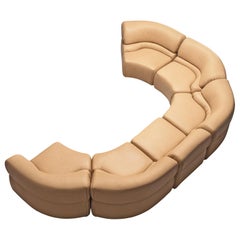 De Sede 'Cosmos' in Original Leather