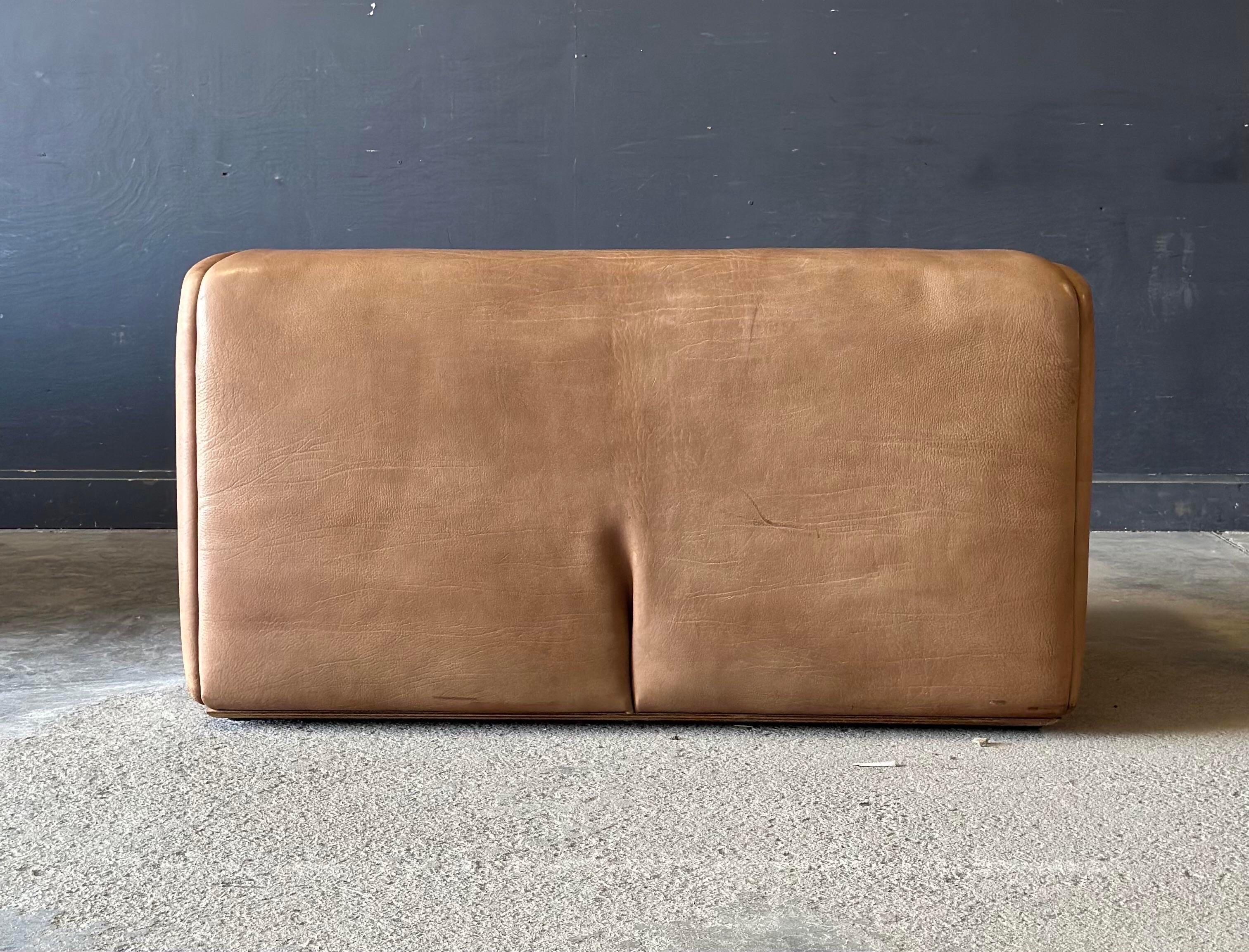 Swiss De Sede D S - 47 Buffalo Leather Loveseat Sofa For Sale