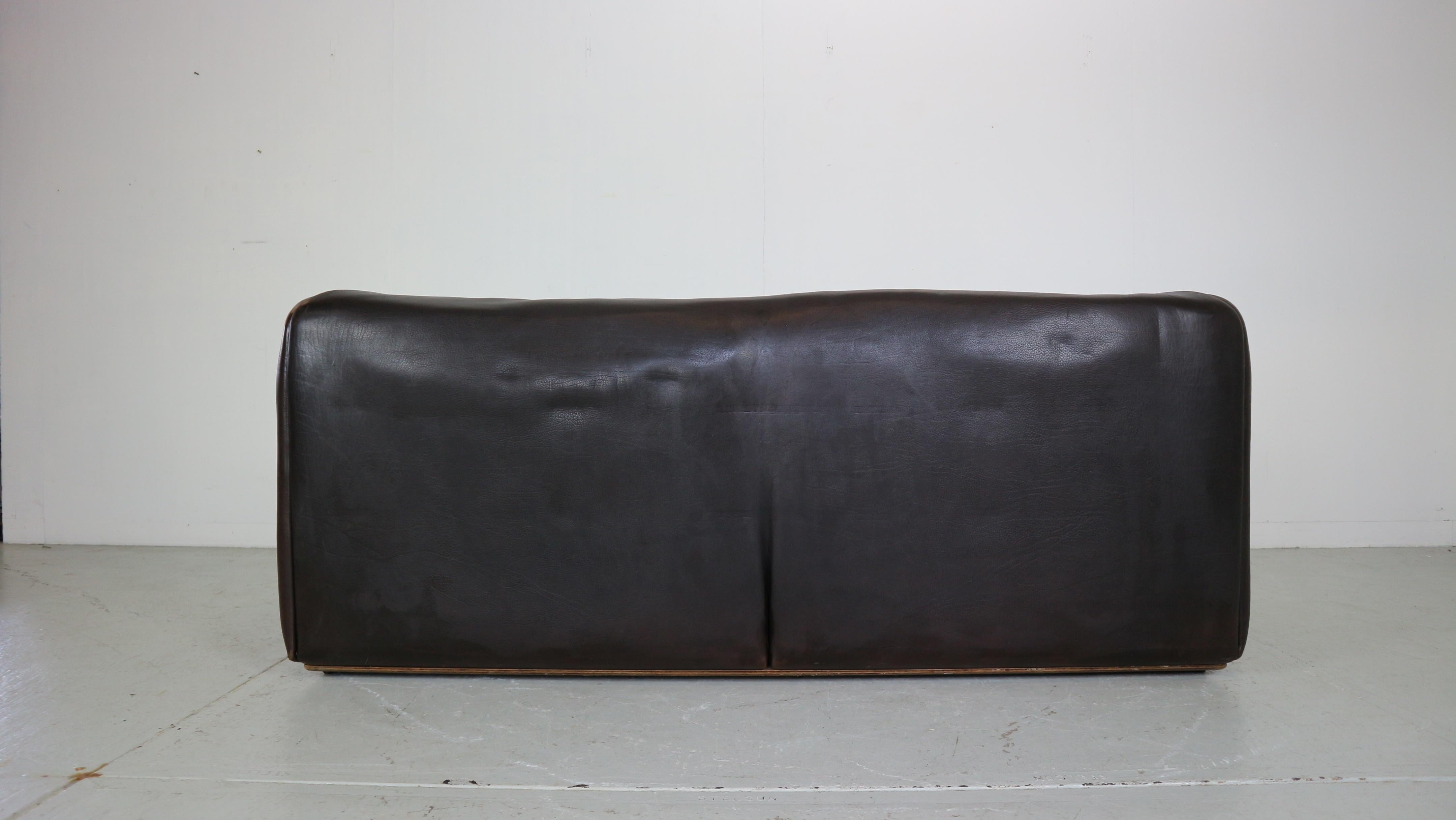 De Sede Dark Brown Buffalo Leather 2-Seater 