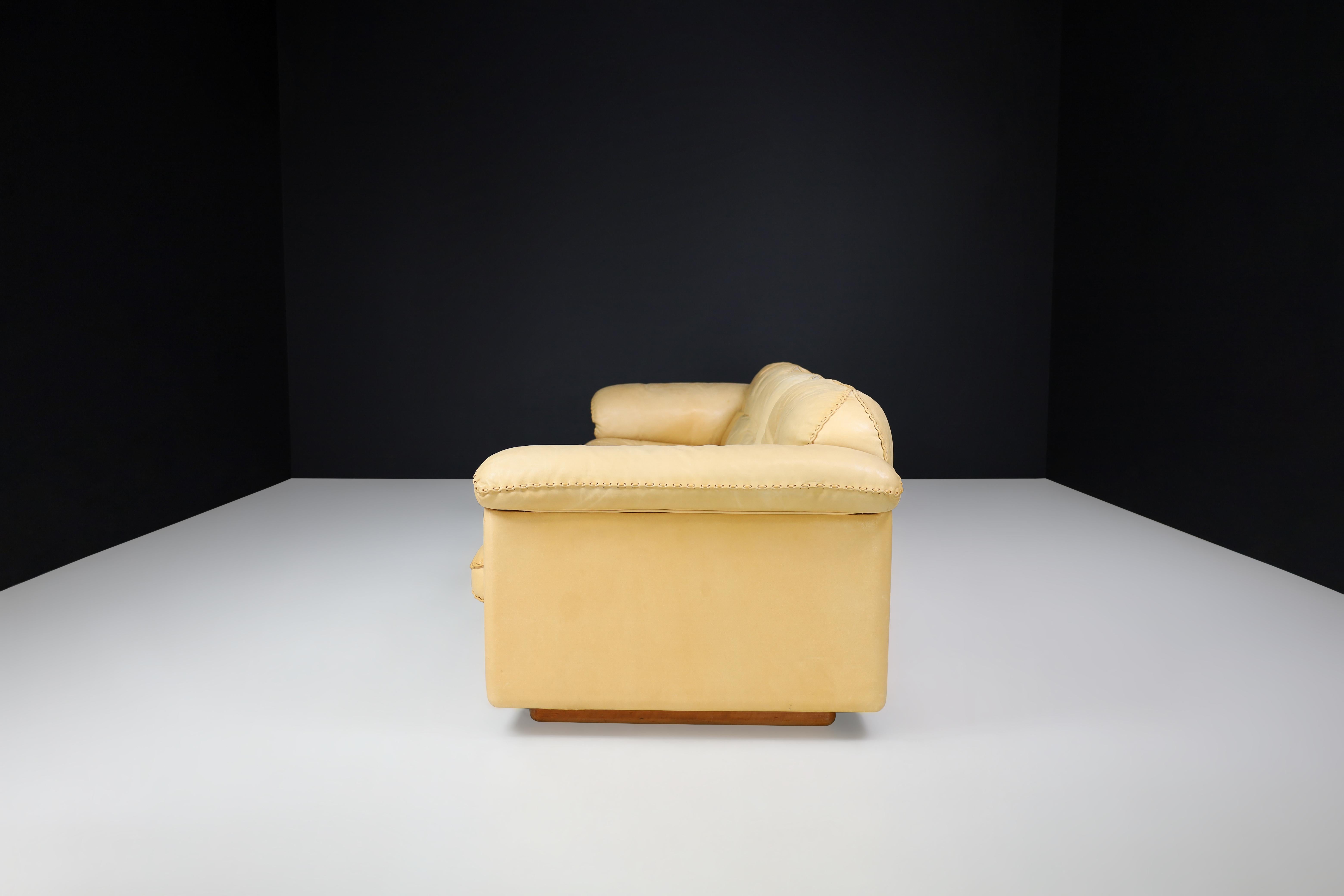 De Sede DS-101 Leather Three-Seater Sofa, Switzerland, 1960s For Sale 6