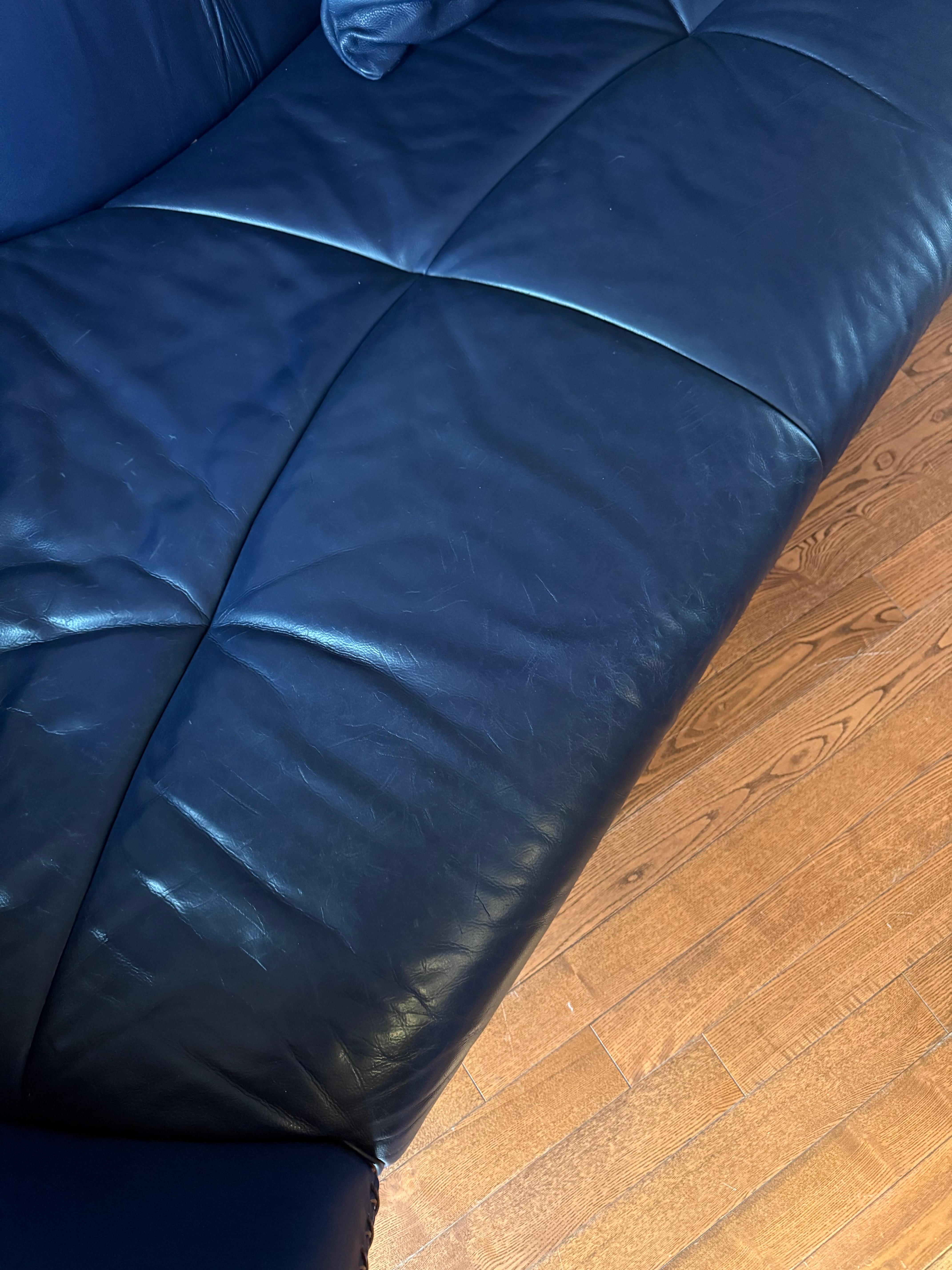 De Sede DS-102 Leather Sofa by Matthias Hoffman 3