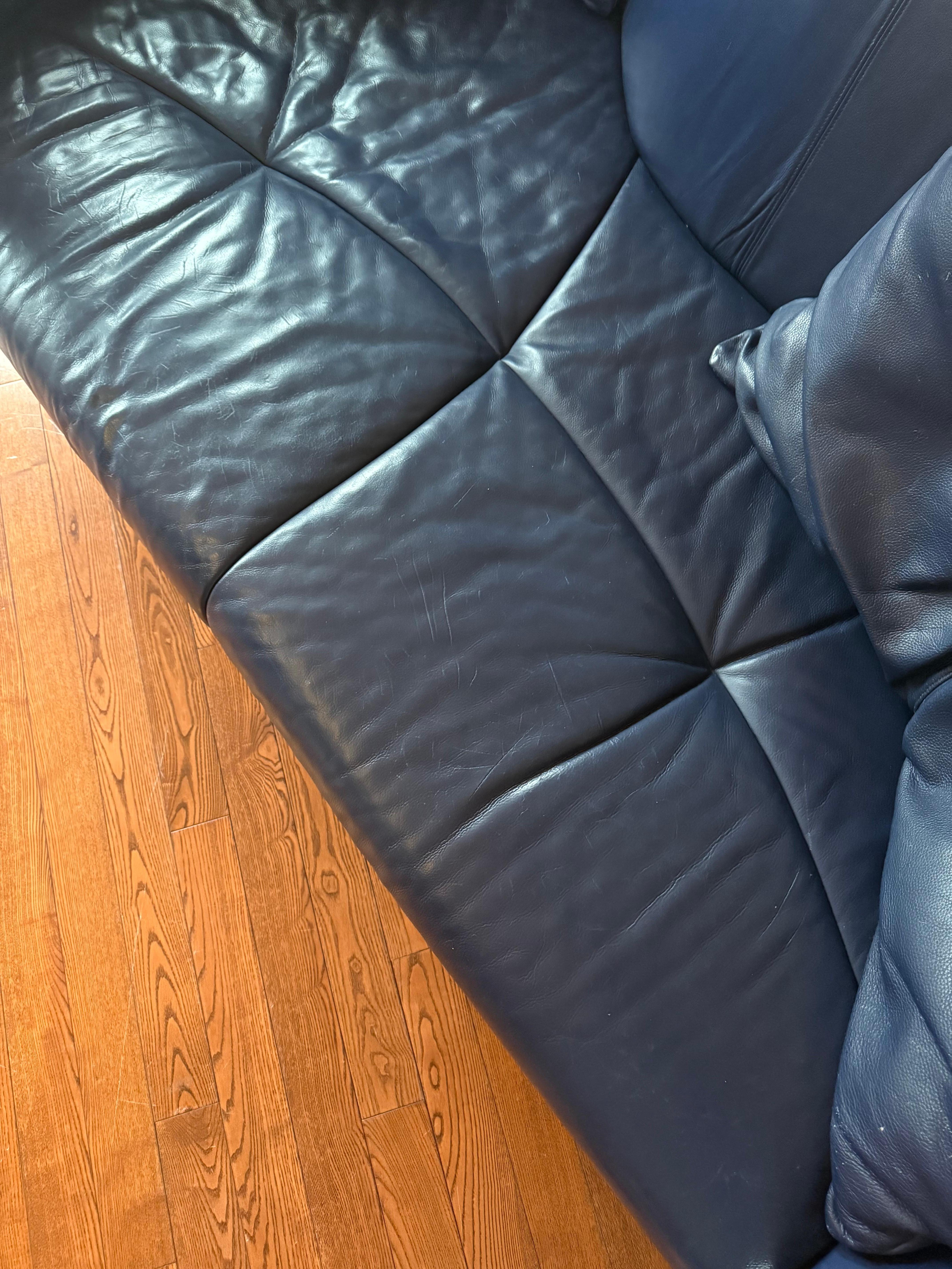 De Sede DS-102 Leather Sofa by Matthias Hoffman 4
