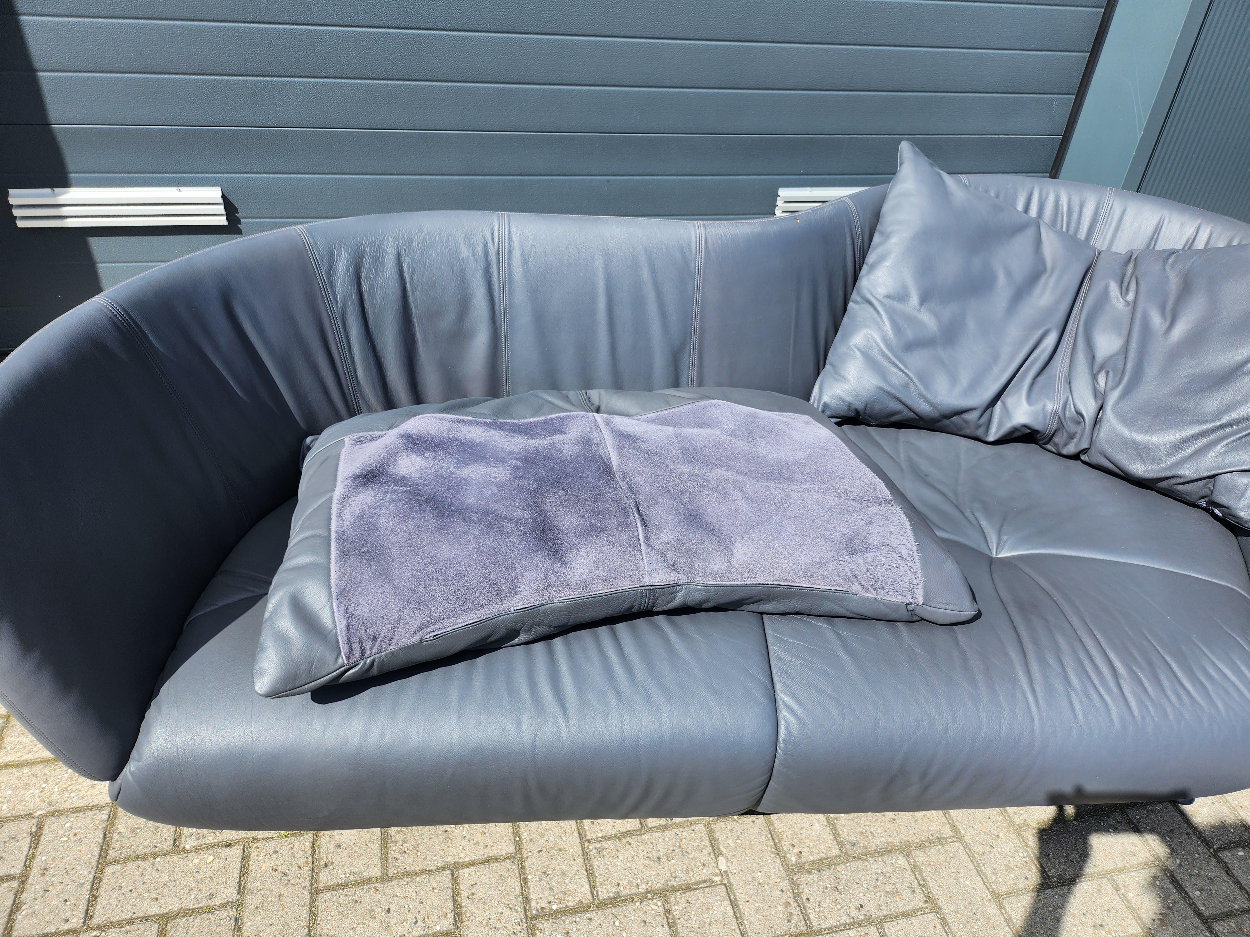 De Sede DS-102 Sofa by Mathias Hoffmann In Good Condition For Sale In NIJMEGEN, NL