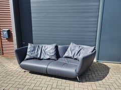 De Sede DS-102 Sofa