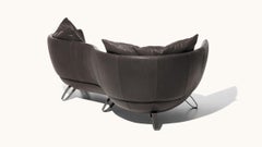 De Sede DS-102 Sofa mit Espresso-Polsterung von Mathias Hoffmann